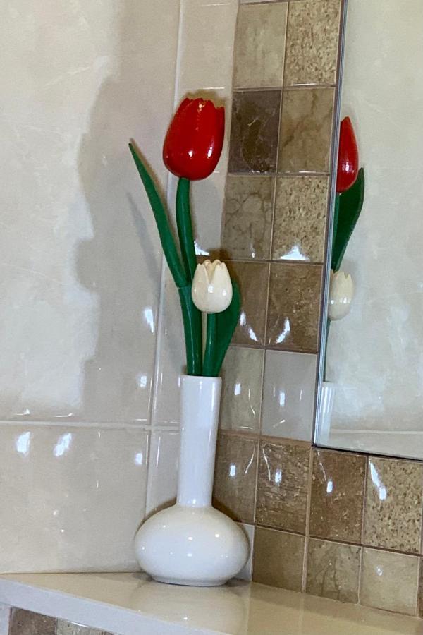 Luxury Art Room Split Ngoại thất bức ảnh